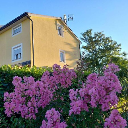 Apartment Lavanda Tar-Vabriga Dış mekan fotoğraf