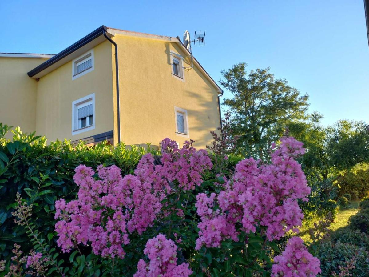 Apartment Lavanda Tar-Vabriga Dış mekan fotoğraf