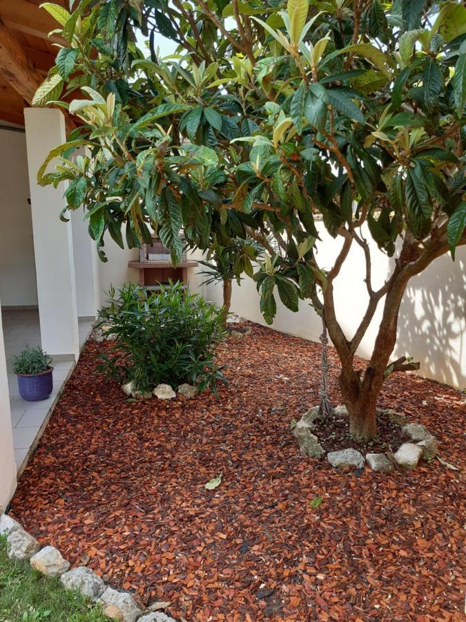 Apartment Lavanda Tar-Vabriga Dış mekan fotoğraf