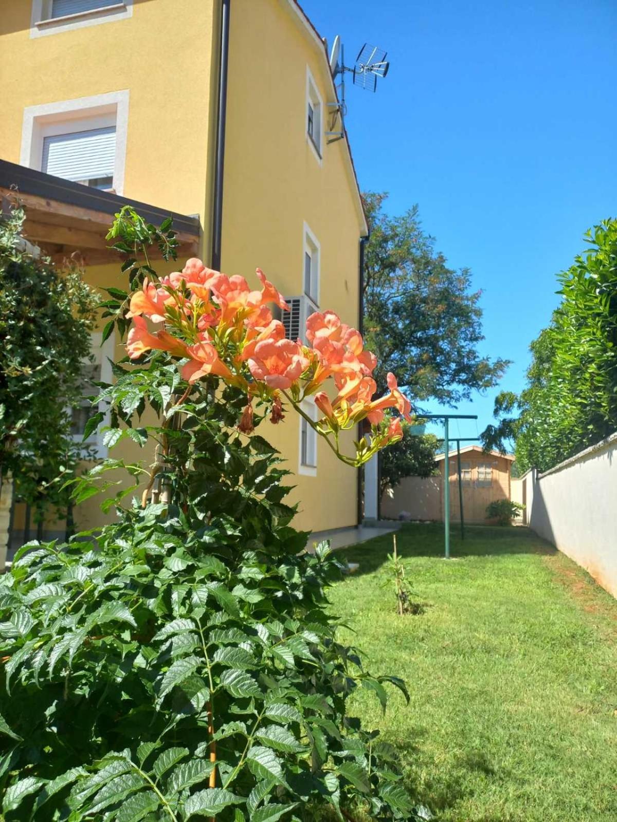 Apartment Lavanda Tar-Vabriga Dış mekan fotoğraf